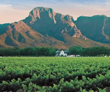 Winelands & Stellenbosch-Franschhoek: Private Wine Tasting Tour